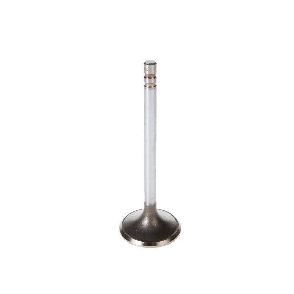1996-2002 Chevrolet Express 3500 Engine Intake Valve (Melling)