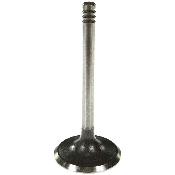 1995-1997 Audi A6 Engine Intake Valve (Melling)