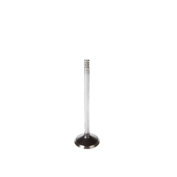 2003 Ford E-250 Engine Exhaust Valve (Melling)