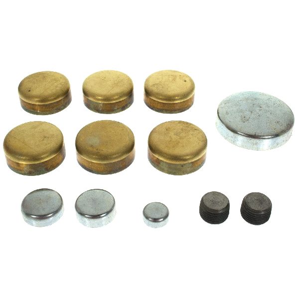 1977-1981 Buick Century Engine Expansion Plug Kit (Melling)