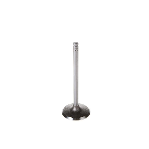 1998-2003 Dodge Durango Engine Intake Valve (Melling)