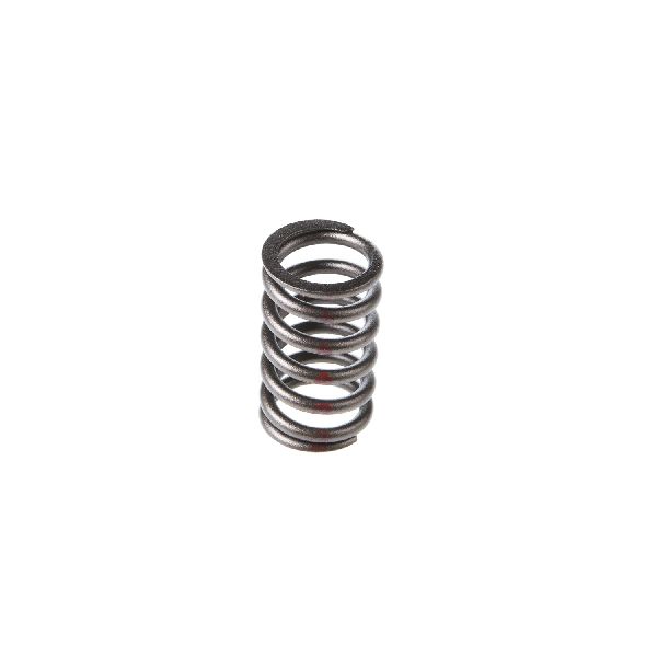 1979-1980 Buick Century Engine Valve Spring - Inner (Melling)