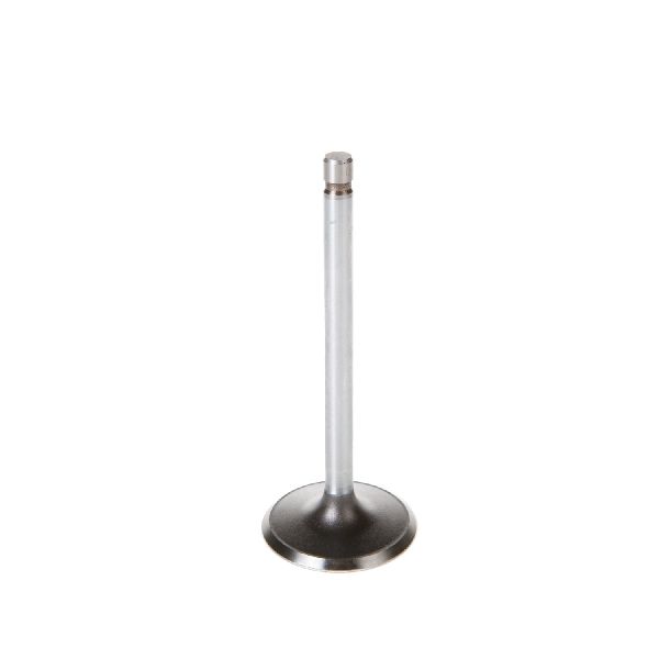 1996-2002 Chevrolet Express 3500 Engine Intake Valve (Melling)