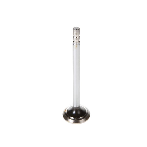 1996-2002 Chevrolet Express 2500 Engine Exhaust Valve (Melling)