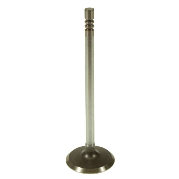 2005-2010 Chrysler 300 Engine Intake Valve (Melling)