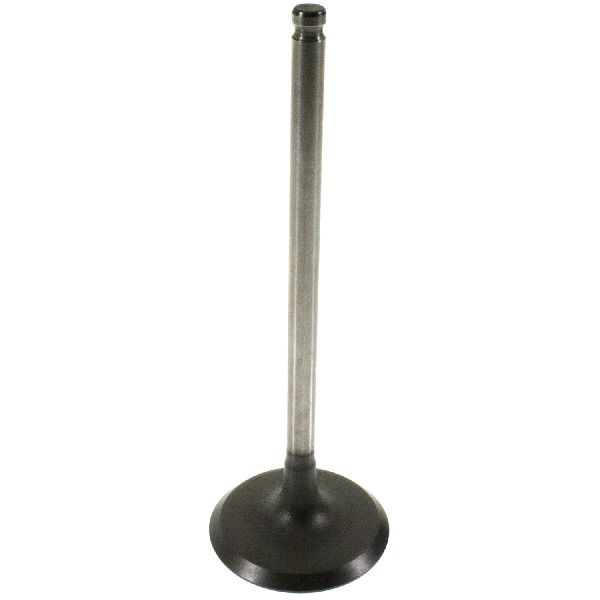 2007-2014 Toyota FJ Cruiser Engine Intake Valve (Melling)