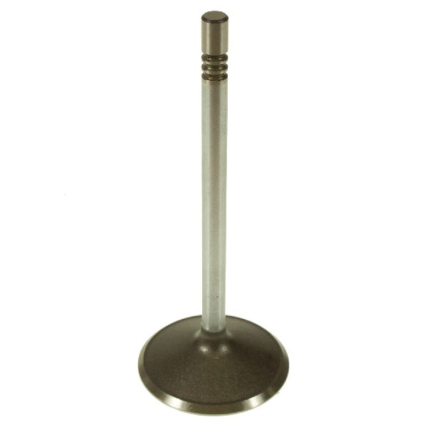 2001-2010 Ford Explorer Sport Trac Engine Intake Valve (Melling)