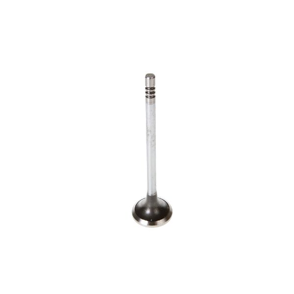 2005-2010 Chrysler 300 Engine Exhaust Valve (Melling)