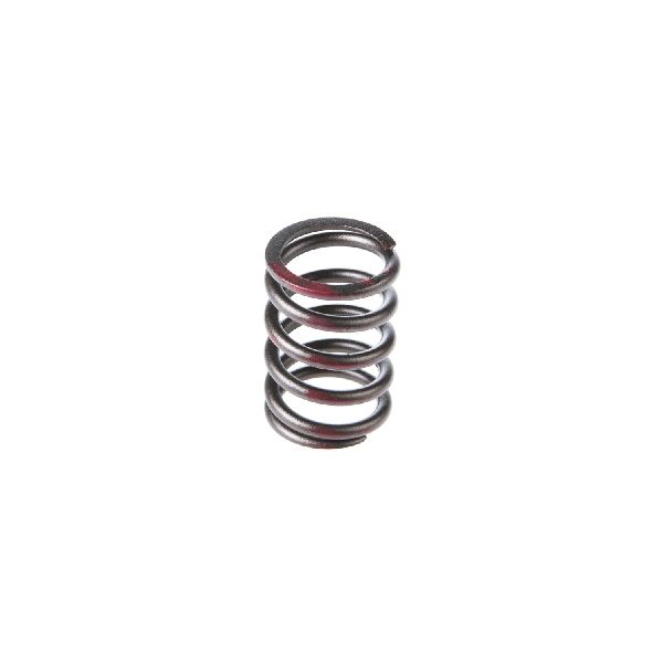 1979-1980 Buick Century Engine Valve Spring - Outer (Melling)