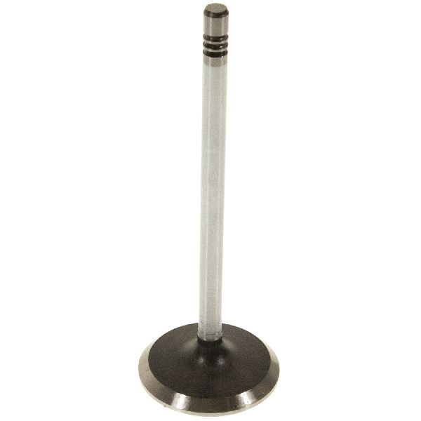 2004-2005 Buick Rainier Engine Intake Valve (Melling)