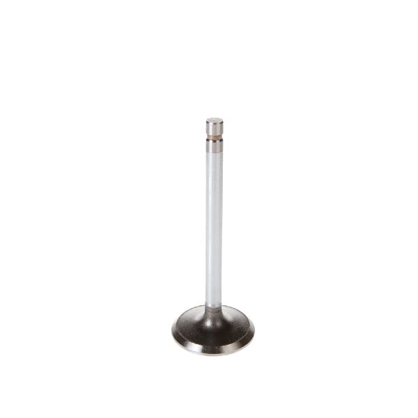 1985-1996 Ford E-150 Econoline Engine Intake Valve (Melling)