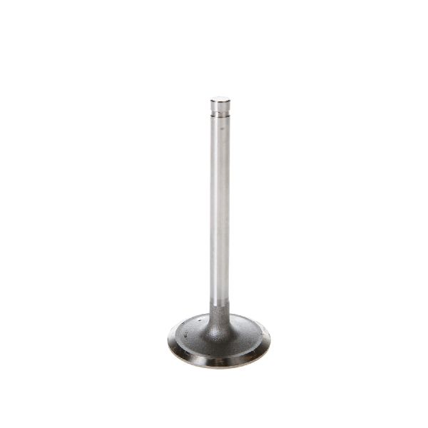 1993-2002 Nissan Quest Engine Intake Valve (Melling)