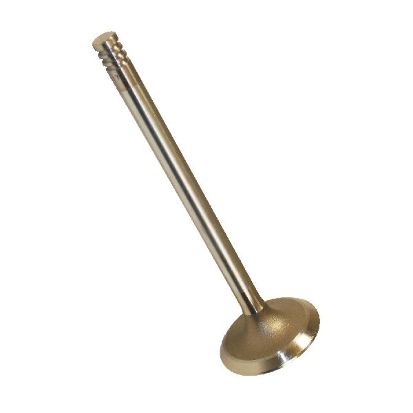 2000-2001 Jeep Cherokee Engine Exhaust Valve (Melling)