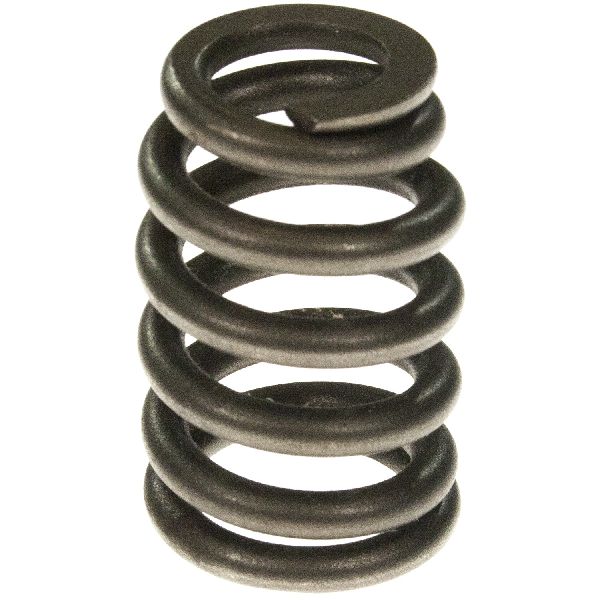 1996-2002 Chevrolet Camaro Engine Valve Spring (Melling)