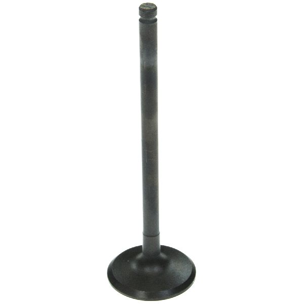 2003-2005 Kia Rio Engine Intake Valve (Melling)
