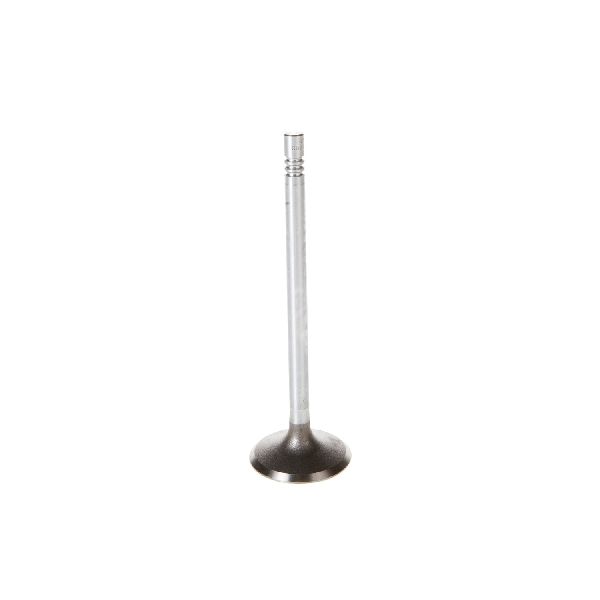 2000-2009 Dodge Durango Engine Exhaust Valve (Melling)