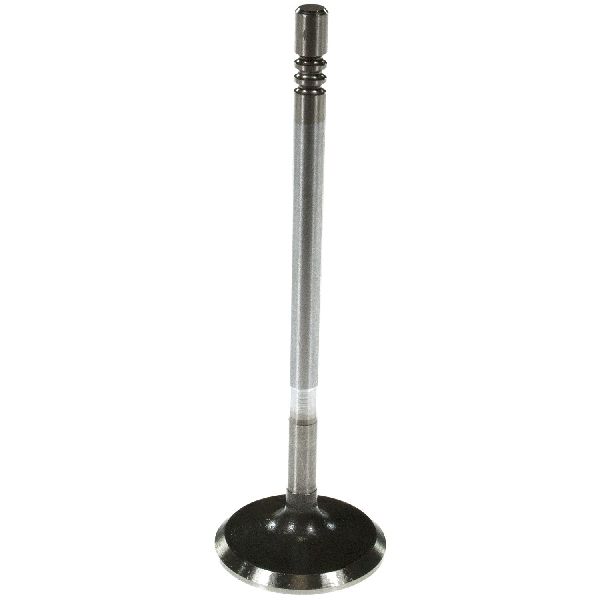 2000-2007 Dodge Caravan Engine Intake Valve (Melling)