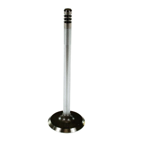 2005-2010 Chrysler 300 Engine Intake Valve (Melling)