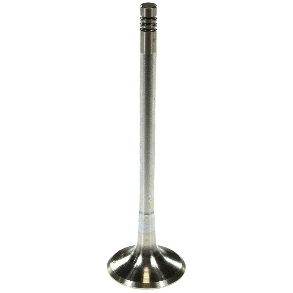 2000-2004 Audi A6 Engine Exhaust Valve (Melling)