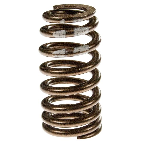 2011-2014 Ford F-150 Engine Valve Spring (Melling)