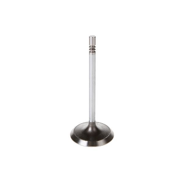 2000-2009 Dodge Durango Engine Intake Valve (Melling)