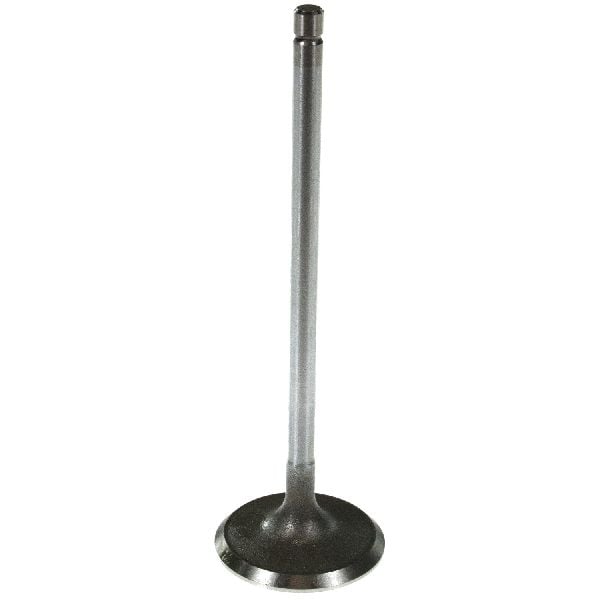 2008-2014 Dodge Avenger Engine Intake Valve (Melling)