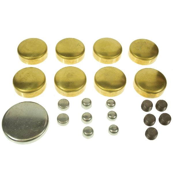 1977-1981 Buick Century Engine Expansion Plug Kit (Melling)