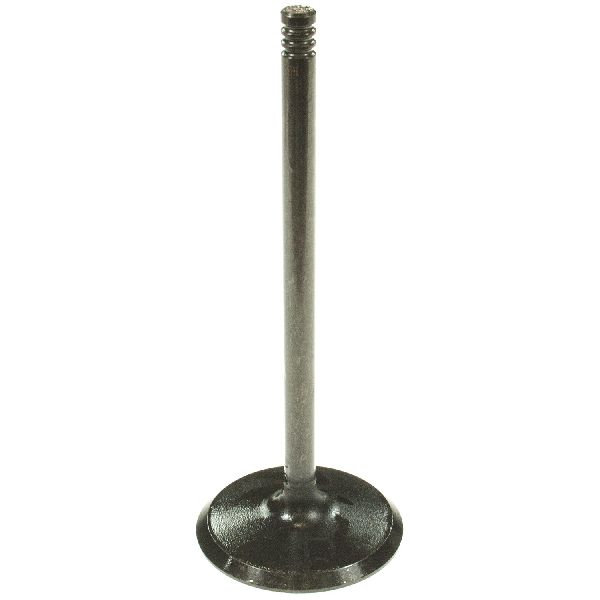 2010-2014 Ford F-150 Engine Intake Valve (Melling)
