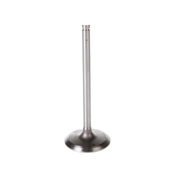 2006-2021 Kia Sedona Engine Intake Valve (Melling)