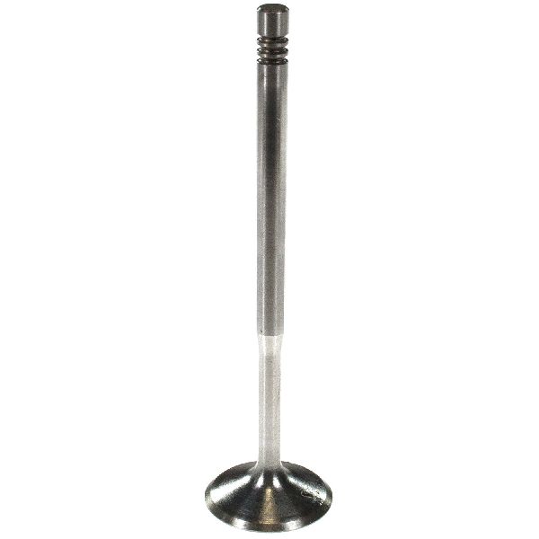 1998-2004 Audi A6 Engine Intake Valve (Melling)