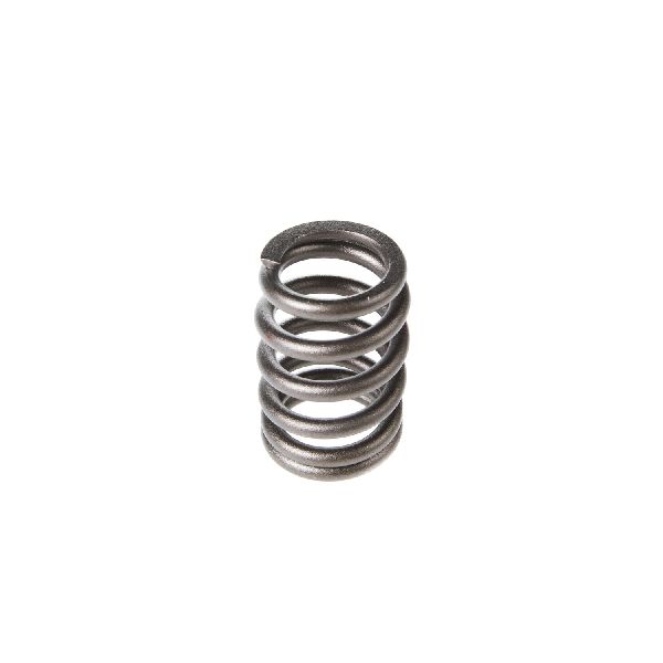 1998-2003 Dodge Durango Engine Valve Spring (Melling)