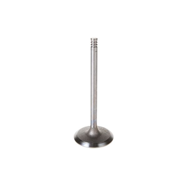 2000-2001 Jeep Cherokee Engine Intake Valve (Melling)
