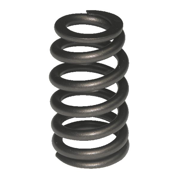 2005-2008 Chrysler Pacifica Engine Valve Spring (Melling)