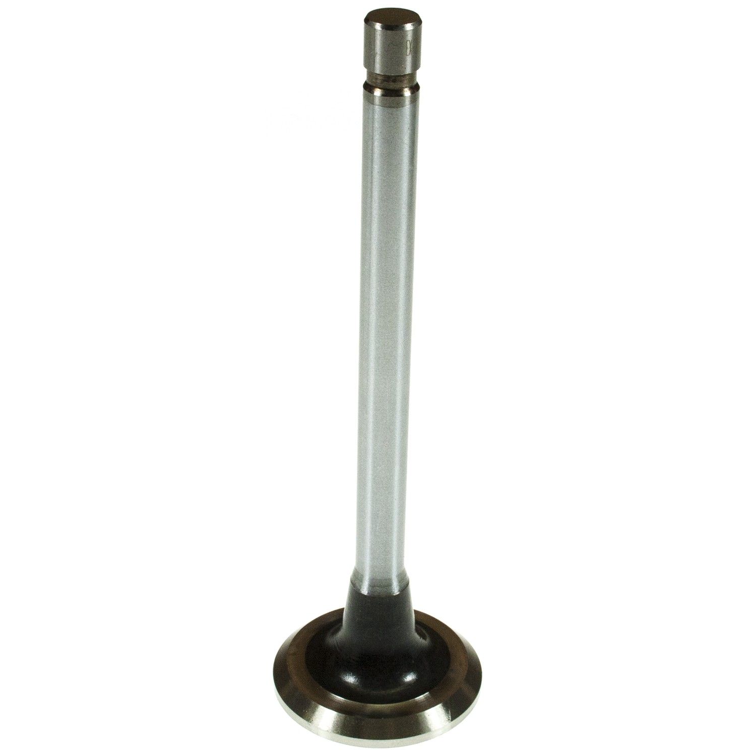 2005, 2004, 2003, 2002, 2001, 2000, 1999, 1998, 1997, 1996 Chevrolet Express 2500 Engine Exhaust Valve
