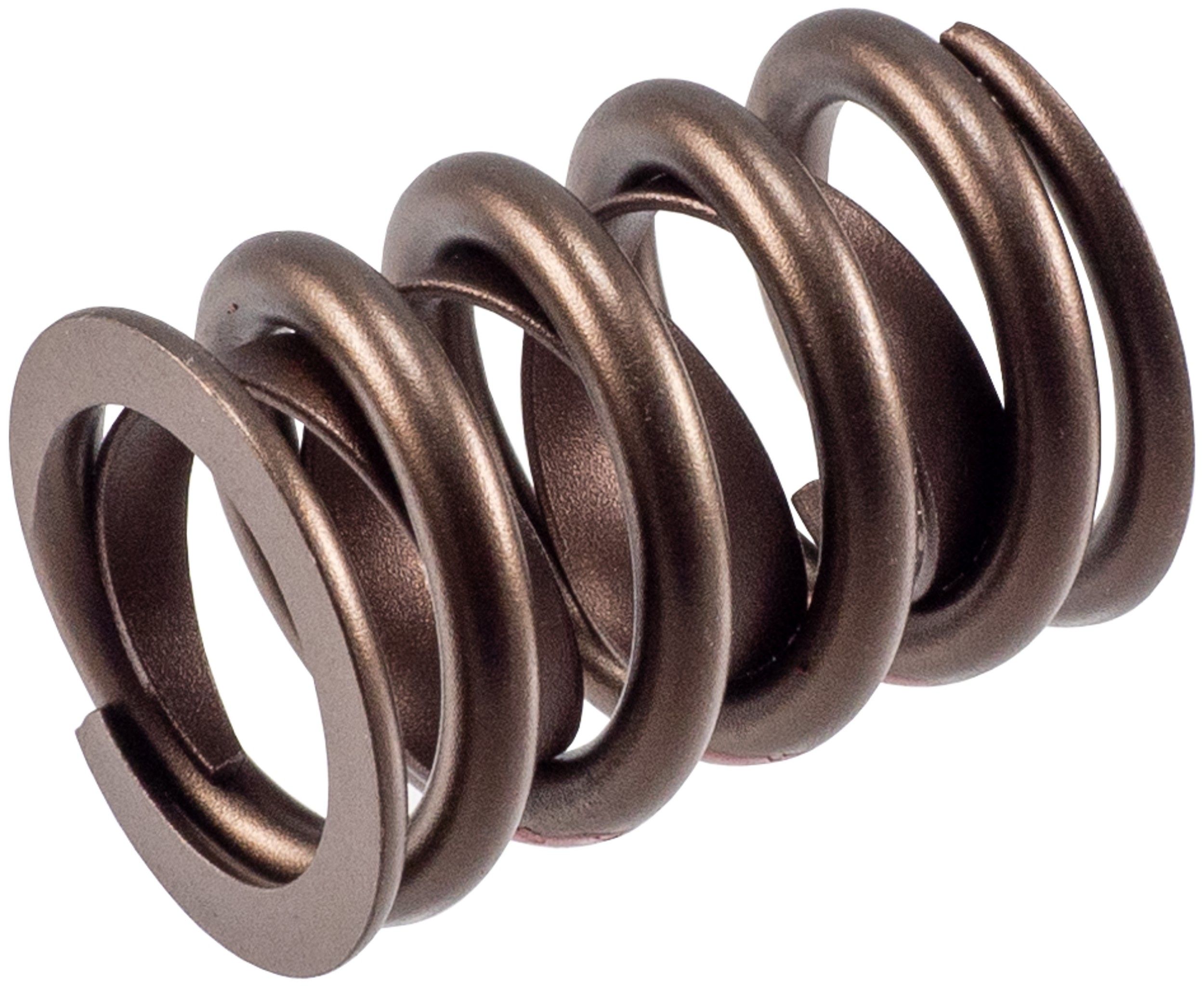 2003, 2002, 2001, 2000, 1999, 1998 Dodge Durango Engine Valve Spring