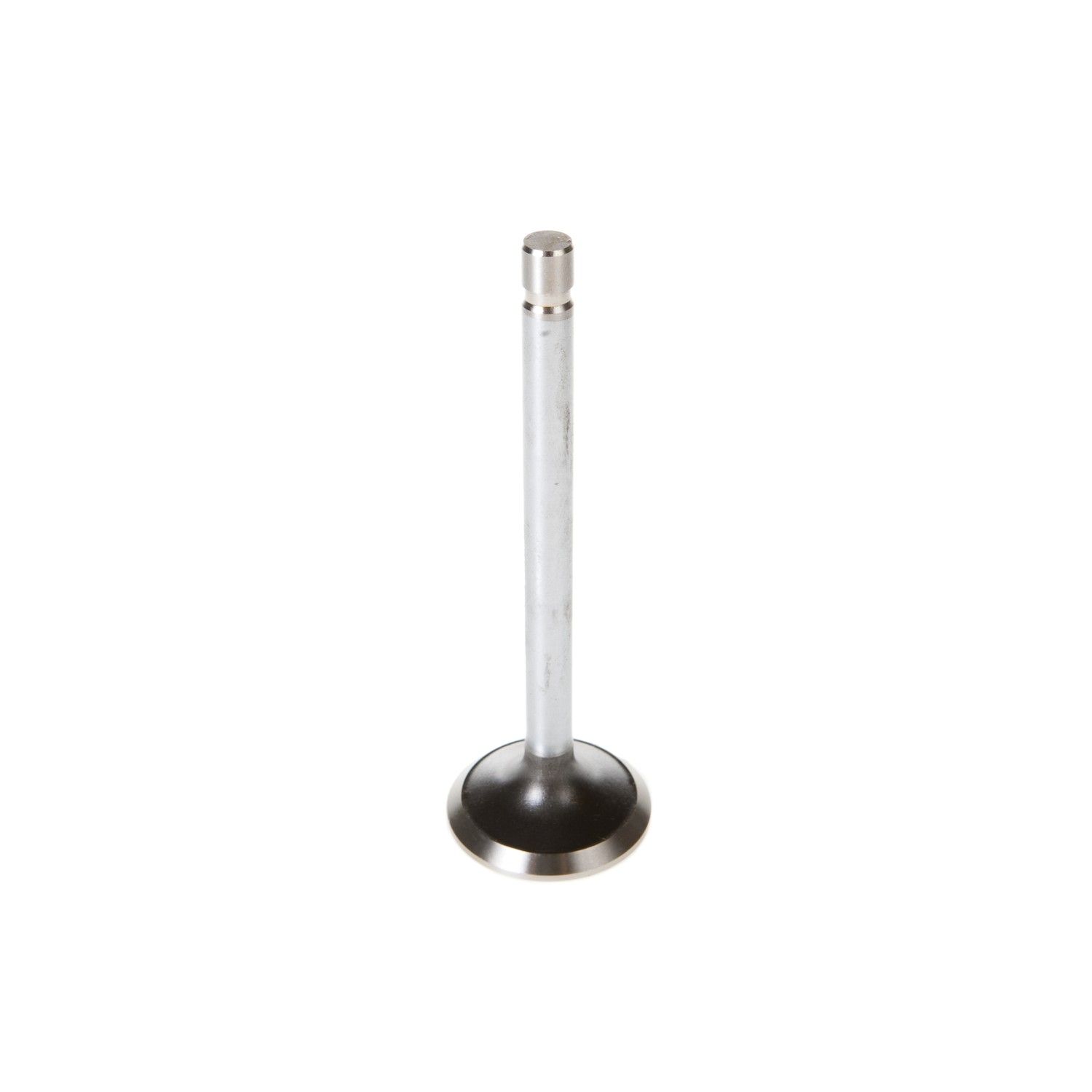 1996, 1995, 1994, 1993, 1992, 1991, 1990, 1989, 1988, 1987, 1986, 1985 Ford F-150 Engine Exhaust Valve