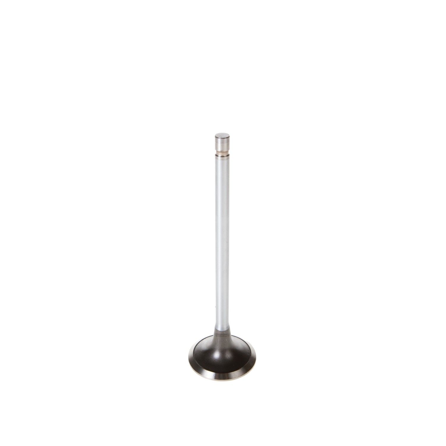 2003, 2002, 2001, 2000 Ford Excursion Club Wagon Engine Exhaust Valve