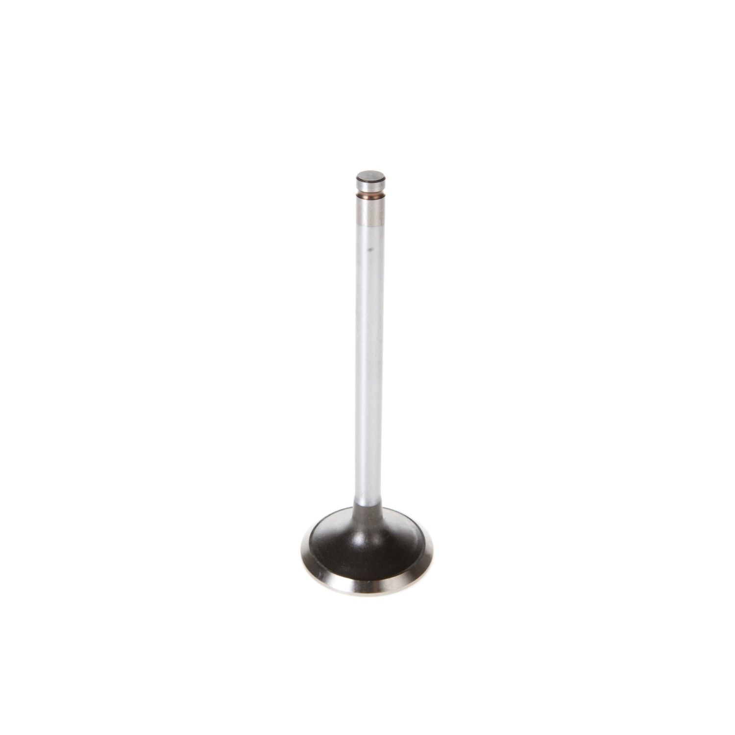 2003, 2002, 2001, 2000, 1999, 1998 Dodge Durango Engine Exhaust Valve