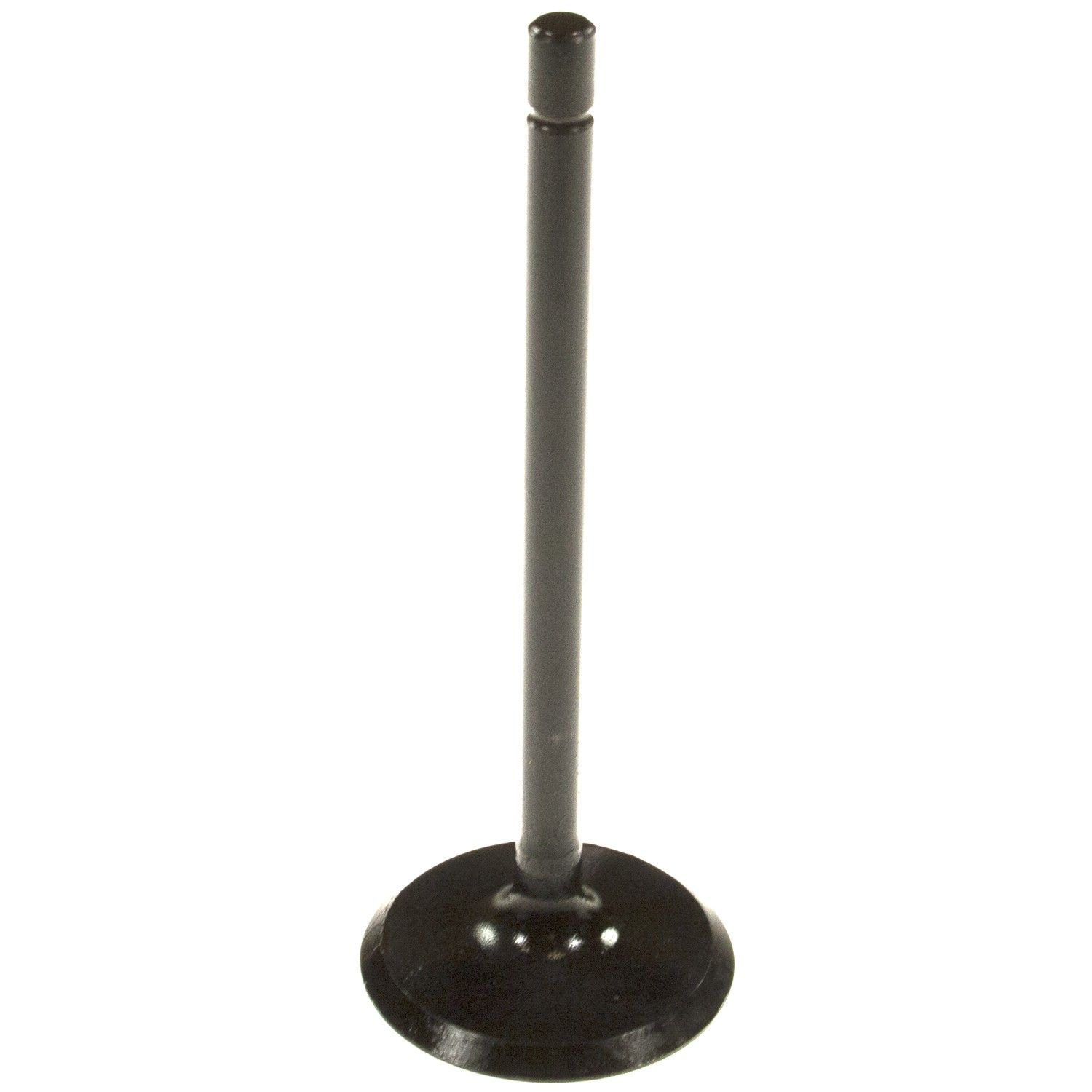2009, 2008 Chevrolet Equinox Engine Intake Valve