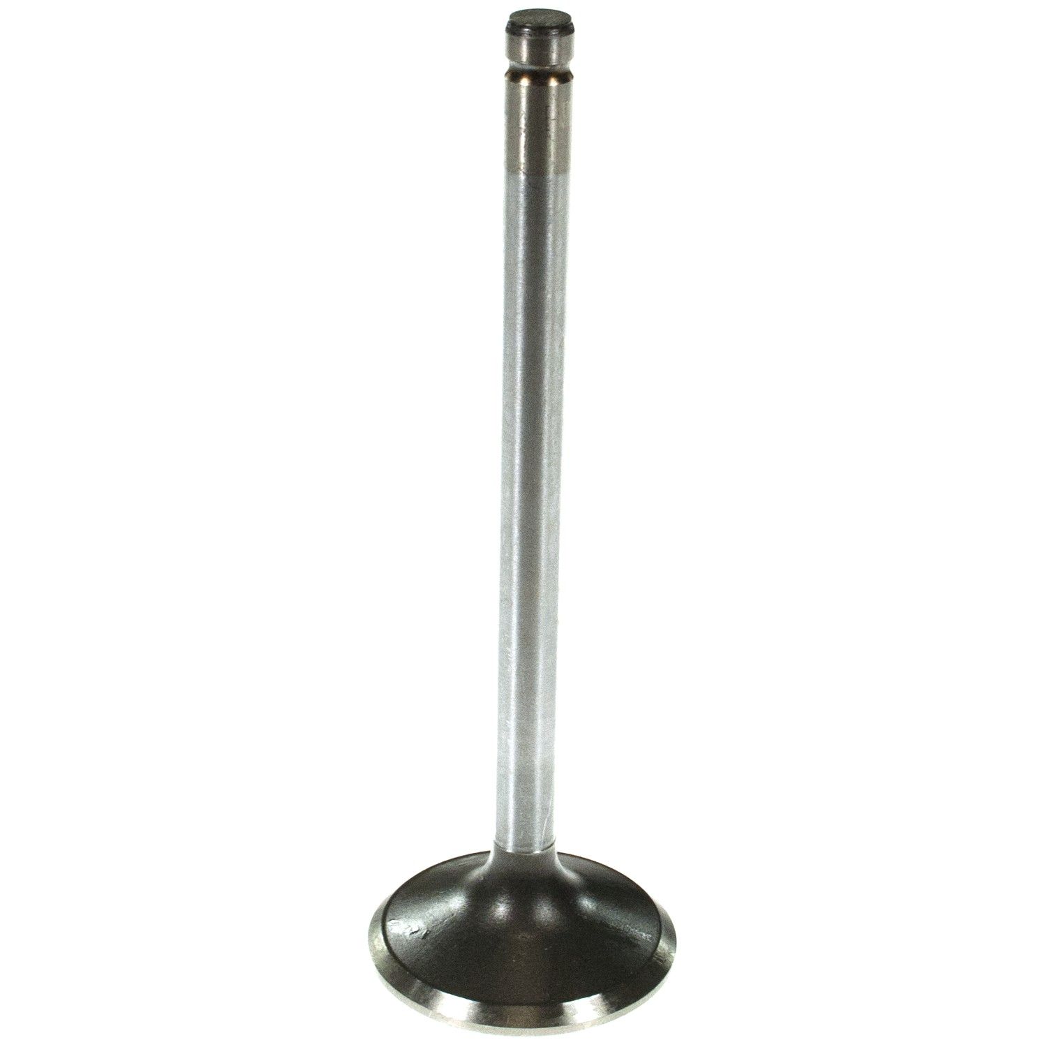 2020, 2019, 2018, 2017, 2016, 2015, 2014, 2013, 2012, 2011, 2010, 2009, 2008 Chevrolet Express 2500 Engine Exhaust Valve
