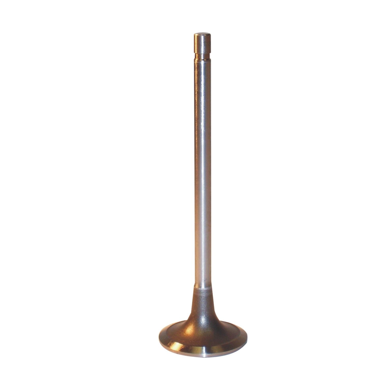 2003, 2002, 2001, 2000 Ford Excursion Club Wagon Engine Intake Valve