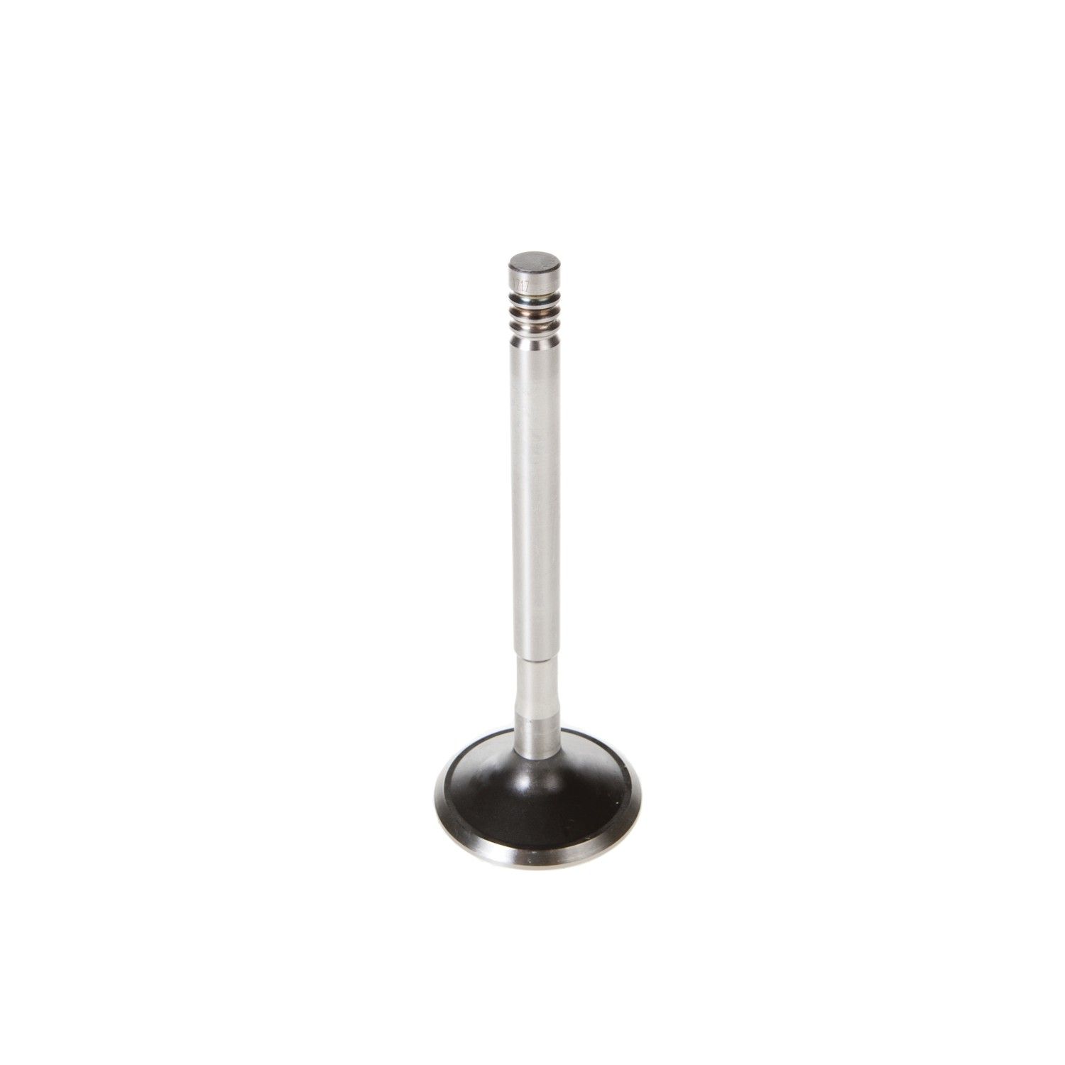 1978 Dodge Magnum Engine Exhaust Valve