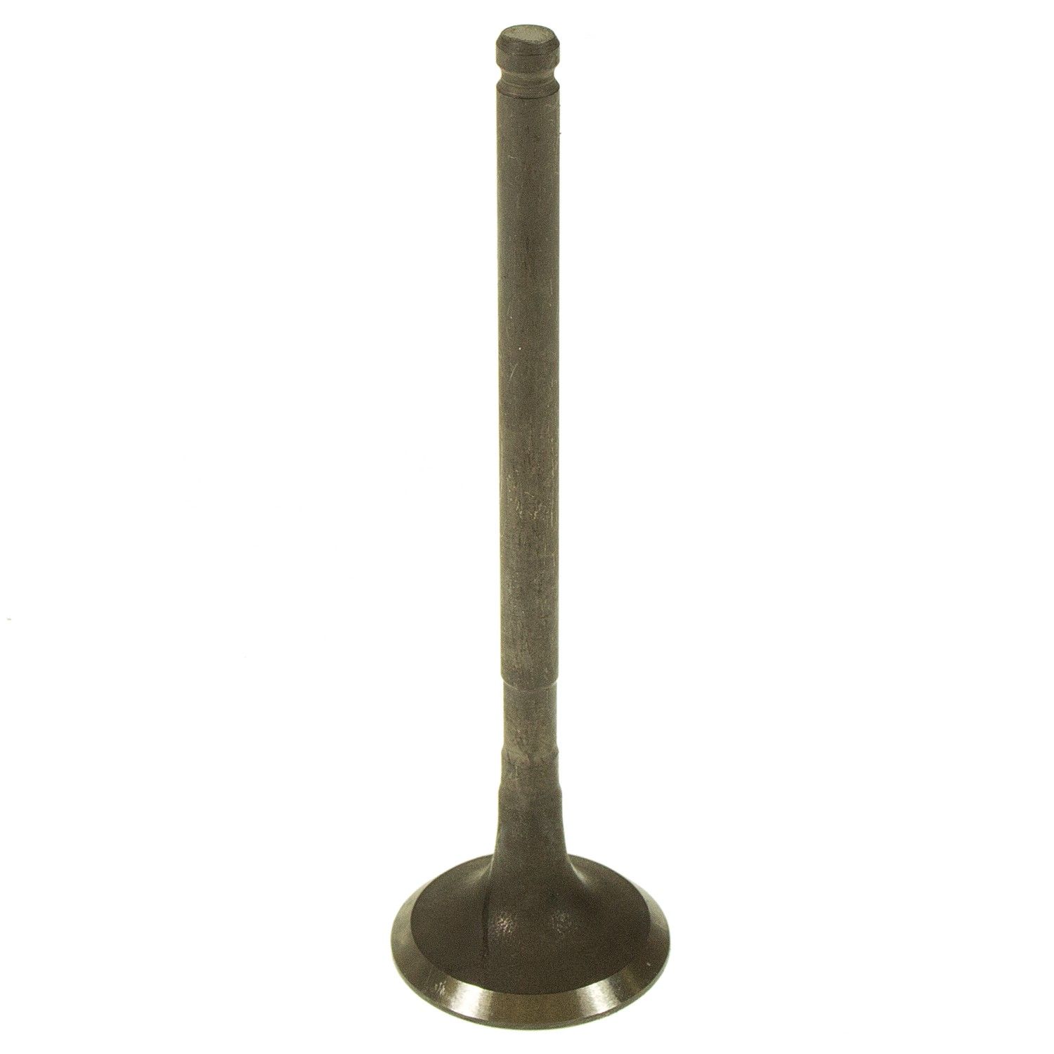 2003, 2002, 2001, 2000, 1999, 1998, 1997, 1996, 1995, 1994 Lexus ES300 Engine Exhaust Valve