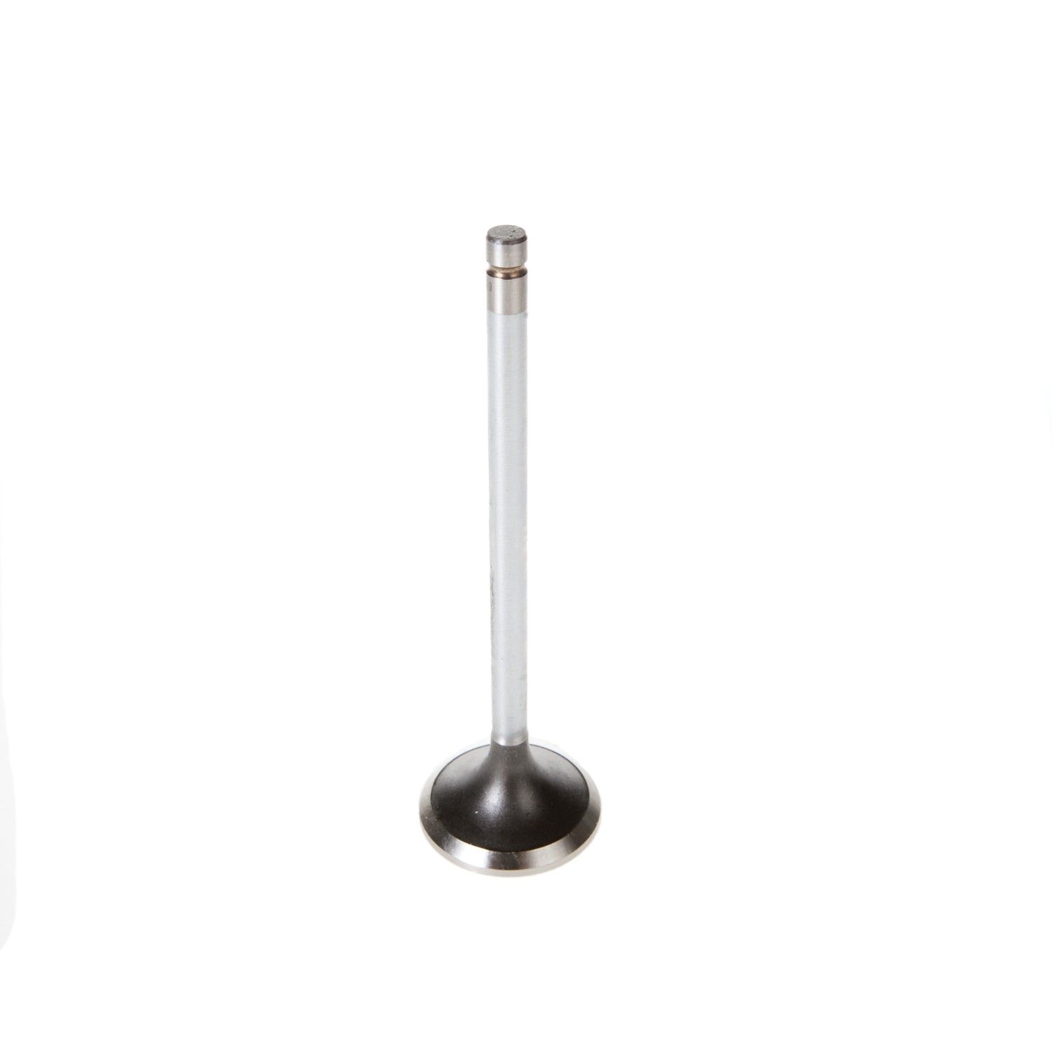 2002, 2001, 2000, 1999, 1998 Pontiac Sunfire Engine Exhaust Valve