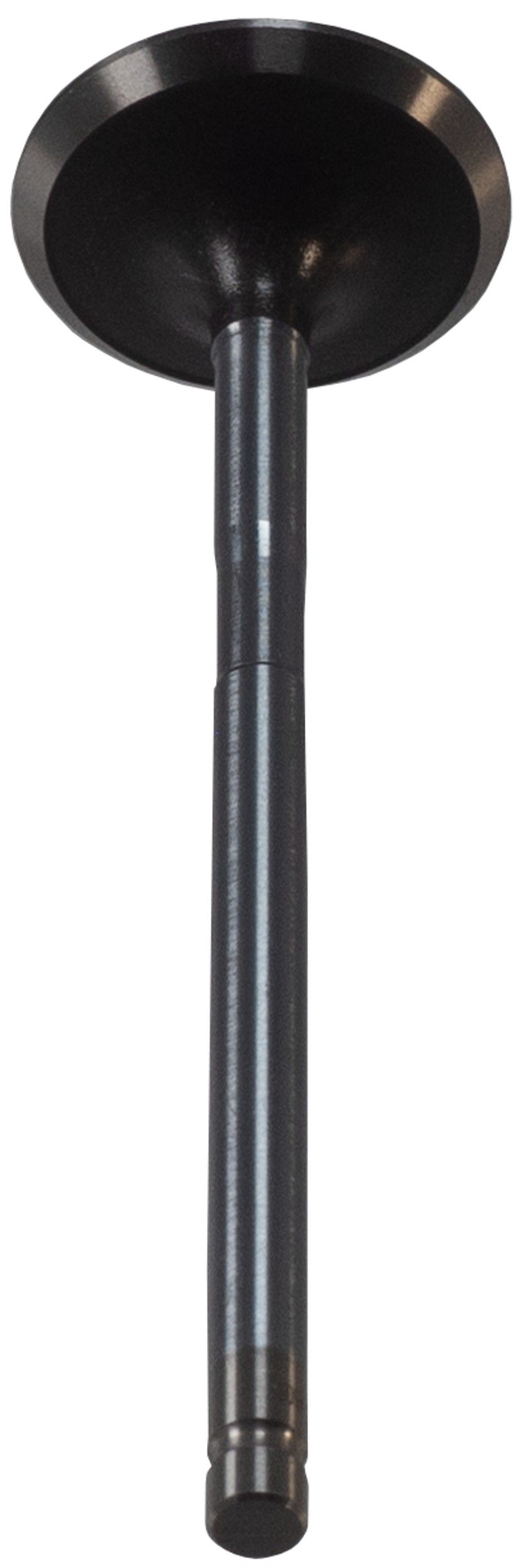 View 4