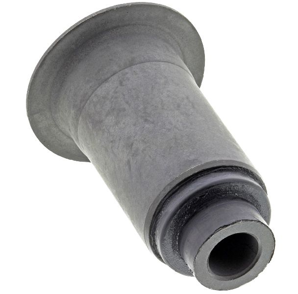 2002-2005 Dodge Ram 1500 Suspension Control Arm Bushing - Front Lower Forward (Mevotech)