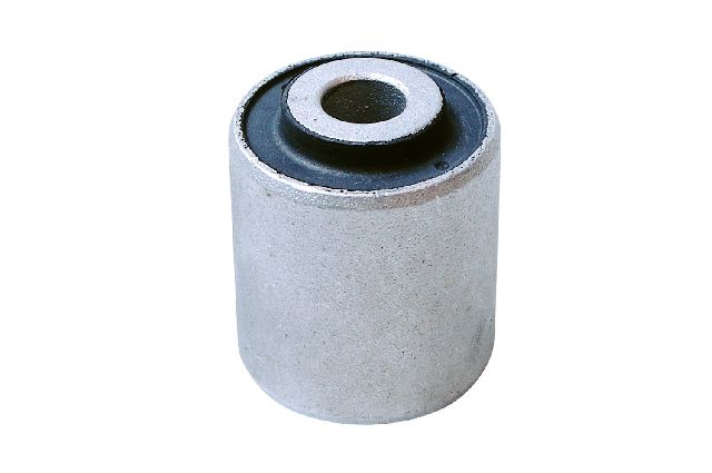 1999-2004 Audi A6 Suspension Control Arm Bushing - Front Lower At Shock (Mevotech)