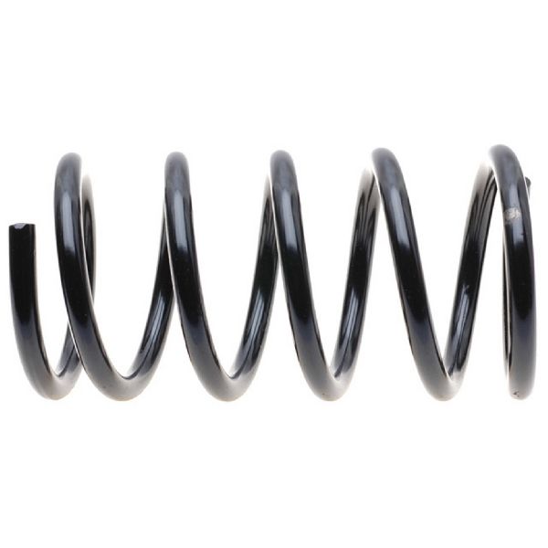 1996-2000 Toyota RAV4 Coil Spring Set - Rear (Moog)