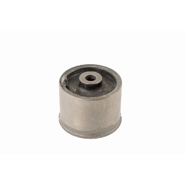 2005-2010 Pontiac G6 Suspension Trailing Arm Bushing - Rear (Moog)
