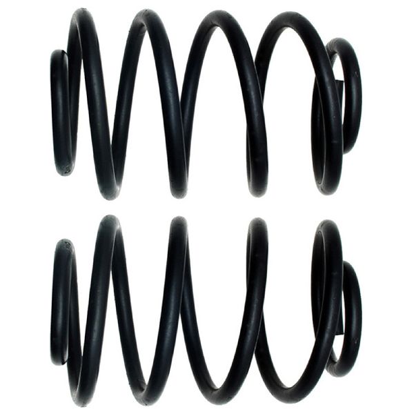 1997-2006 Jeep Wrangler Coil Spring Set - Rear (Moog)